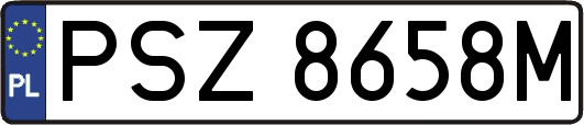 PSZ8658M