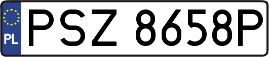 PSZ8658P