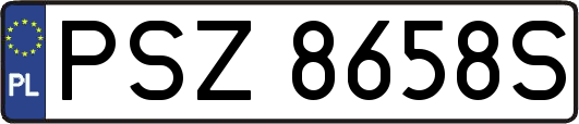PSZ8658S
