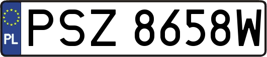 PSZ8658W