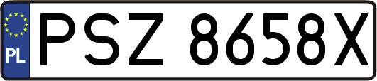 PSZ8658X