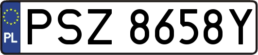 PSZ8658Y