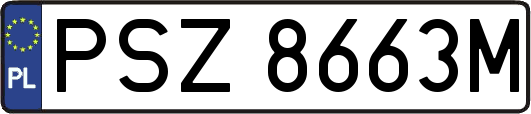 PSZ8663M