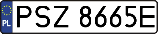 PSZ8665E