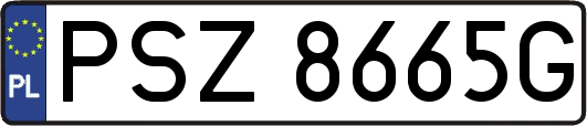 PSZ8665G