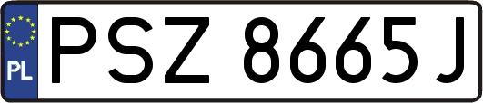 PSZ8665J