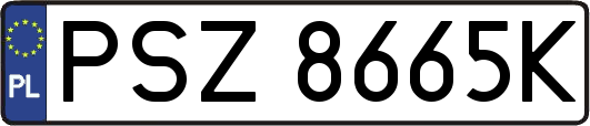 PSZ8665K