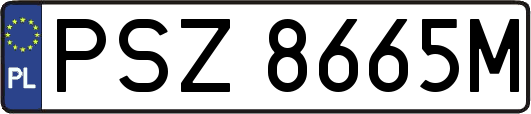 PSZ8665M