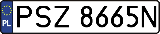 PSZ8665N