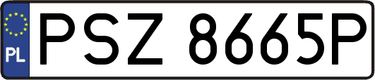 PSZ8665P