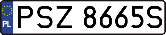 PSZ8665S