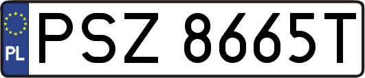 PSZ8665T