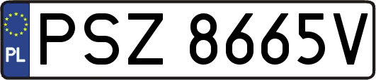 PSZ8665V