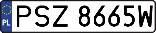 PSZ8665W
