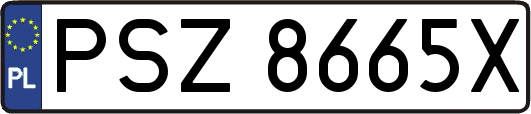 PSZ8665X