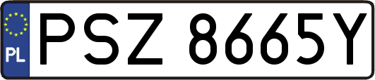 PSZ8665Y