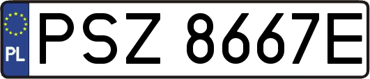 PSZ8667E