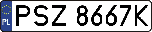 PSZ8667K