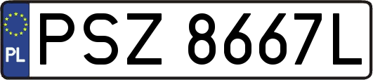 PSZ8667L