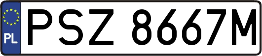 PSZ8667M