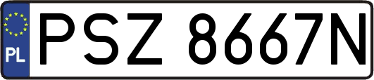 PSZ8667N