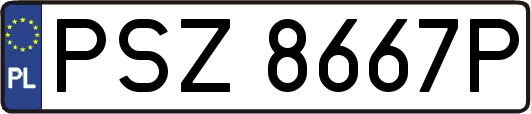 PSZ8667P