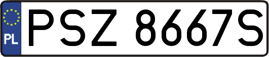 PSZ8667S