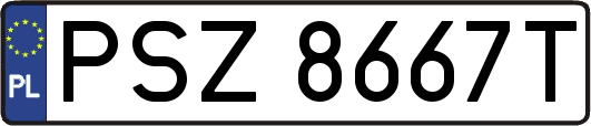 PSZ8667T