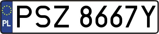 PSZ8667Y