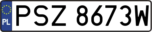 PSZ8673W