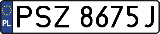 PSZ8675J