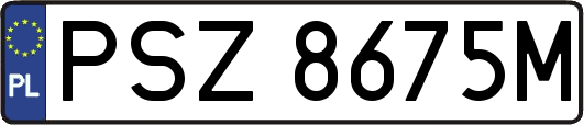 PSZ8675M