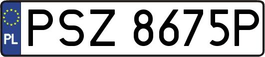 PSZ8675P