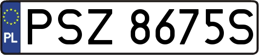 PSZ8675S
