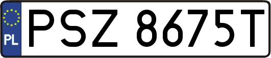 PSZ8675T