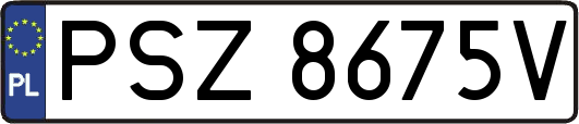 PSZ8675V