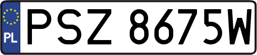 PSZ8675W