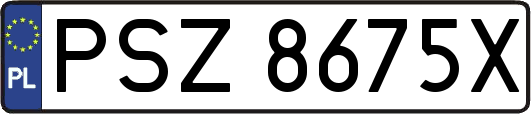 PSZ8675X