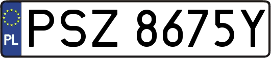 PSZ8675Y