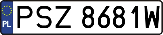PSZ8681W