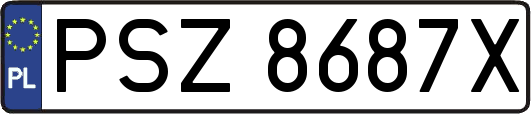 PSZ8687X