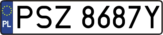 PSZ8687Y