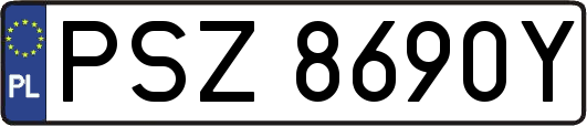 PSZ8690Y