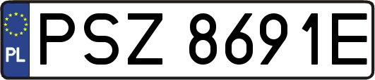PSZ8691E