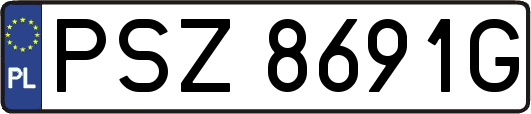 PSZ8691G