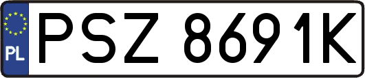 PSZ8691K
