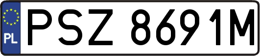 PSZ8691M
