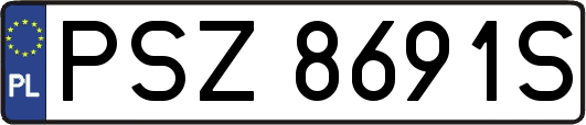 PSZ8691S