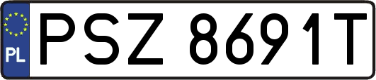 PSZ8691T