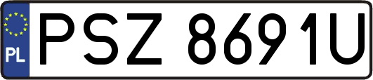 PSZ8691U